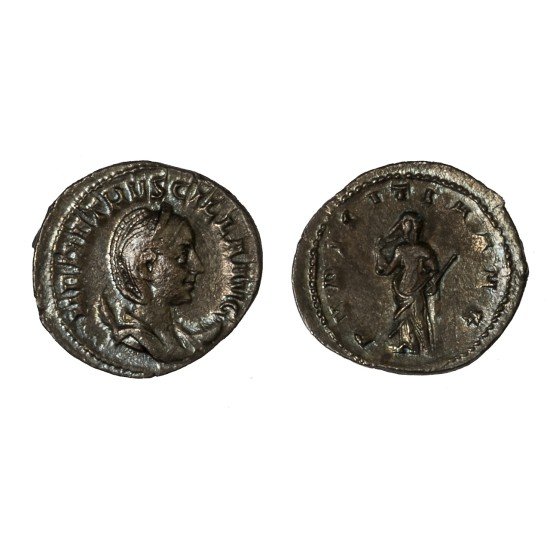 Moneda Imperio Romano Antoniniano Herennia Etruscilla 250-251 d.C.