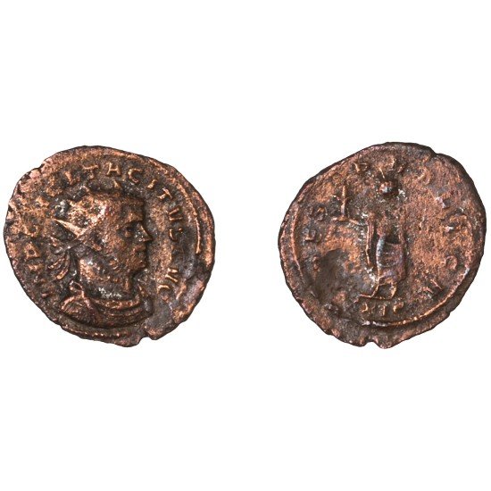 Moneda Imperio Romano Antoniniano Tácito 275 d.C.