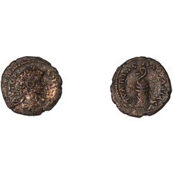 Moneda Imperio Romano Assarion Caracalla 198-205 d.C.
