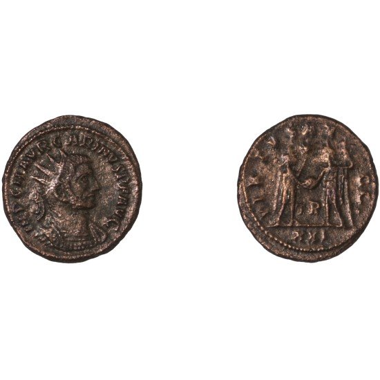 Moneda Imperio Romano Antoniniano Carino 284 d.C.