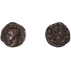 Moneda Imperio Romano Assarion Elagábalo 218-222 d.C.