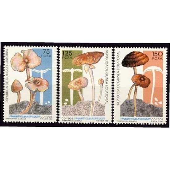 Guinea Ecuatorial 159/61 1992 Setas autóctonas MNH