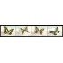 Guinea Ecuatorial 296/99 2003 Fauna Mariposas de África MNH
