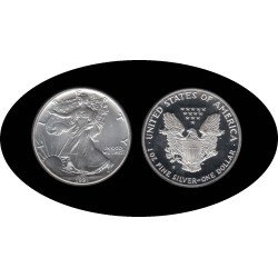 Estados Unidos United States 1 OZ onza 1991 Liberty 1$ Plata Ag Estados Unidos United States 1 OZ onza 1991 Liberty 1$ Plata Ag