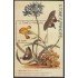 Santo Tomás y Príncipe HB 140 1993 Fauna y Flora Flores Mariposas Flowers MNH 
