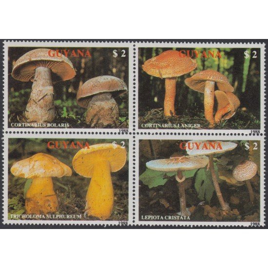 Guyana 2077/80 1989 Champiñones Setas Mushrooms Flora MNH Guyana 2077/80 1989 Champiñones Setas Mushrooms Flora MNH