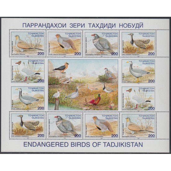 Tadjikistan HB 75/80a 1996 Fauna Pájaros Birds MNH Tadjikistan HB 75/80a 1996 Fauna Pájaros Birds MNH