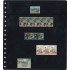 Pardo 100500 Pack de 10 fundas 10 compartimentos por hoja