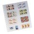 Pardo 102300 Pack de 10 fundas  