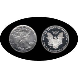 Estados Unidos United States 1 OZ onza 1992 Liberty 1$ Plata Ag Estados Unidos United States 1 OZ onza 1992 Liberty 1$ Plata Ag