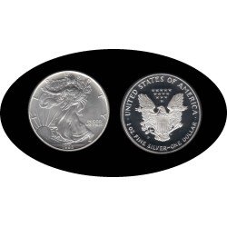 Estados Unidos United States 1 OZ onza 1993 Liberty 1$ Plata Ag Estados Unidos United States 1 OZ onza 1993 Liberty 1$ Plata Ag