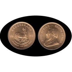 Sudafrica South Africa Krugerrand 1982 Au gold Sudafrica South Africa Krugerrand 1982 Au gold
