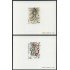 PI1 Francia France Nº 2067/68  Pruebas de Lujo  1978  MNH 