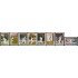 DEP1 San Vicente Saint Vincent  Nº 554/61  MNH