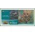 Irlanda  2015 Cartera Oficial Monedas € euro Set Flora y Fauna marina 