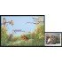 FAU1 Paraguay 2909 + HB 23 2004 Serie América UPAEP Pájaros Birds  MNH