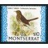 FAU2 Montserrat  312  MNH