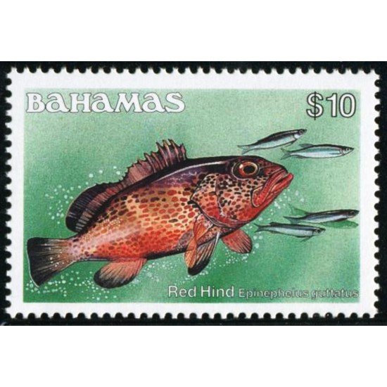 FAU2 Bahamas 623 fauna MNH FAU2 Bahamas 623 fauna MNH