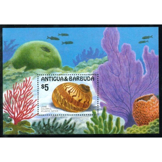 FAU3 Antigua y barbuda HB 112 fauna marina MNH FAU3 Antigua y barbuda HB 112 fauna marina MNH