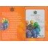 San Marino 2 euros conmemorativos 2008