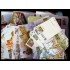 España Spain Colección Collection Completa Entero Postales 1973 - 1998 