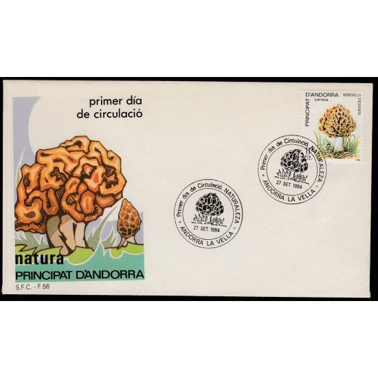 Andorra Española 181 1984  Naturaleza SPD Sobre Primer día