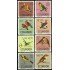 Ecuador A- 442/49 1966 Aéreo Pájaros bird Fauna MH
