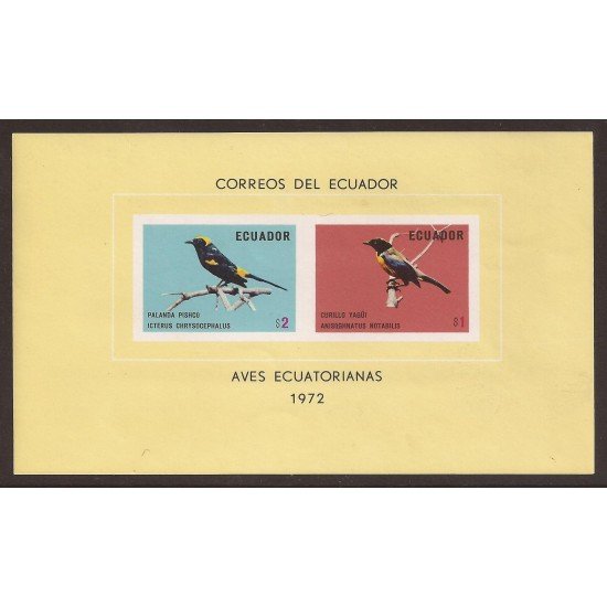 Ecuador Hojita Block 24 1973 Aves Ecuatorianas pájaros bird Palanda Curillo MNH