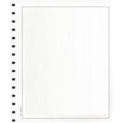 Hojas de Sellos Edifil en blanco Papel blanco Paquete 50 Hojas 