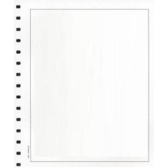Hojas de Sellos Edifil en blanco Papel blanco Paquete 50 Hojas Hojas de Sellos Edifil en blanco Papel blanco Paquete 50 Hojas