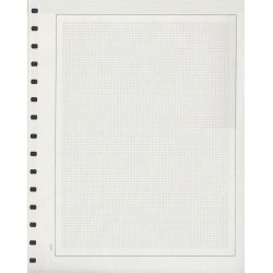Hojas de Sellos Edifil en blanco Papel blanco Fondo cuadrícula Paquete 50 Hojas