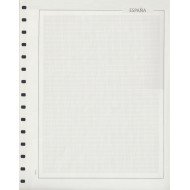 Hojas Sellos Edifil en blanco Título España Papel blanco cuadrícu lPaq 50 Hojas Hojas Sellos Edifil en blanco Título España Papel blanco cuadrícu lPaq 50 Hojas