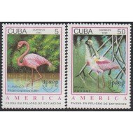 Upaep Cuba 3323/24 1993 Phoenicopterus Ajaia pájaros bird fauna MNH Upaep Cuba 3323/24 1993 Phoenicopterus Ajaia pájaros bird fauna MNH