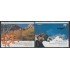 Upaep Argentina 2422/23 2003 Nothofagus Vultur pajáro bird fauna MNH