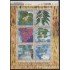 Upaep Brasil 2825/30 2003 Mini hoja flora Macrosphonia Lychnophora MNH