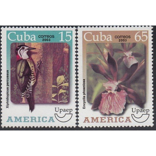 Upaep Cuba 4115/16 2003 Xiphidiopicus Encyclia MNH Upaep Cuba 4115/16 2003 Xiphidiopicus Encyclia MNH