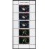 Upaep Suriname HB 100 2004 Pato y Loros fauna MNH