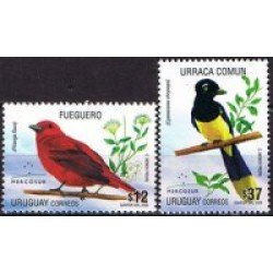 Uruguay 2360/2361 - Mercosur. Pájaros MNH Uruguay 2360/2361 - Mercosur. Pájaros MNH