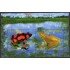 Colombia HB 50 2002 Fauna. Ranas MNH