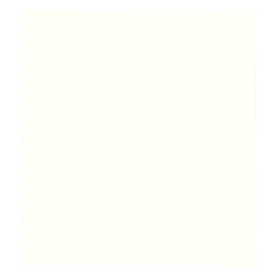 Lindner 802o Hojas Permaphil Cartulina Blanca 174 x 215mm