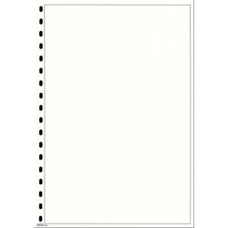 Lindner 804 Hojas Permaphil Cartulina Blanca 210 x 297 mm Lindner 804 Hojas Permaphil Cartulina Blanca 210 x 297 mm