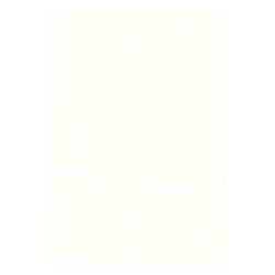 Lindner 804o Hojas Permaphil Cartulina Blanca 210 x 297 mm Lindner 804o Hojas Permaphil Cartulina Blanca 210 x 297 mm