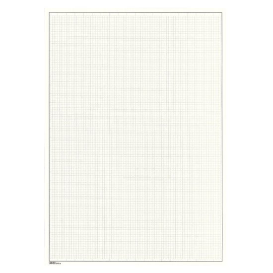 Lindner 805 Hojas Permaphil Cartulina Blanca 210 x 297 mm