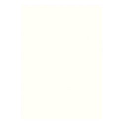 Lindner 805o Hojas Permaphil Cartulina Blanca 210 x 297 mm Lindner 805o Hojas Permaphil Cartulina Blanca 210 x 297 mm