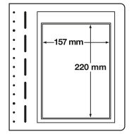 Leuchtturm 303892 LEUCHTTURM hojas en blanco-LB, 1 división, para FDCs Leuchtturm 303892 LEUCHTTURM hojas en blanco-LB, 1 división, para FDCs