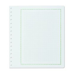 Leuchtturm 307785 KABE Hojas de álbum neutras,papel con borde verde y cruadraculada Leuchtturm 307785 KABE Hojas de álbum neutras,papel con borde verde y cruadraculada