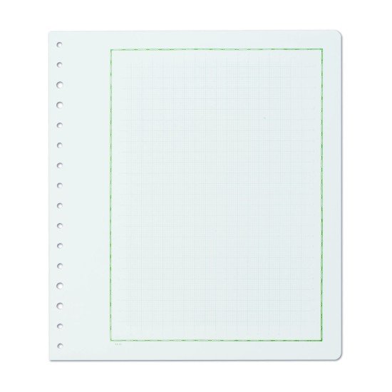 Leuchtturm 307785 KABE Hojas de álbum neutras,papel con borde verde y cruadraculada Leuchtturm 307785 KABE Hojas de álbum neutras,papel con borde verde y cruadraculada