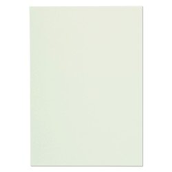 Leuchtturm 320761 Hojas en blanco sin ninguna impresión, DIN A 4
