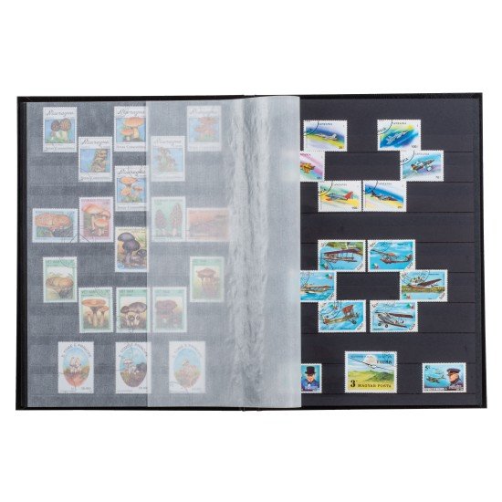 Leuchtturm 321487 Clasificador BASIC, DIN A4, 64 páginas negras, tapa no acolchada, negro Leuchtturm 321487 Clasificador BASIC, DIN A4, 64 páginas negras, tapa no acolchada, negro