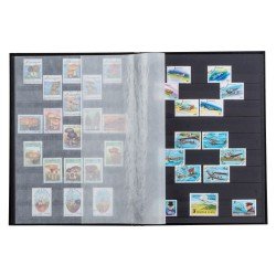 Leuchtturm 327381 Clasificador BASIC, DIN A4, 32 páginas negras, tapa no acolchada, verde Leuchtturm 327381 Clasificador BASIC, DIN A4, 32 páginas negras, tapa no acolchada, verde
